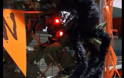 ALIA West – Community Engagement @Bunnings