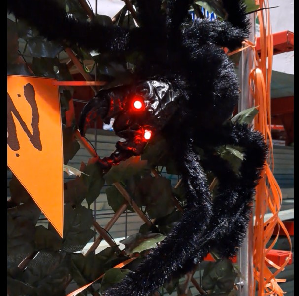 ALIA West – Community Engagement @Bunnings